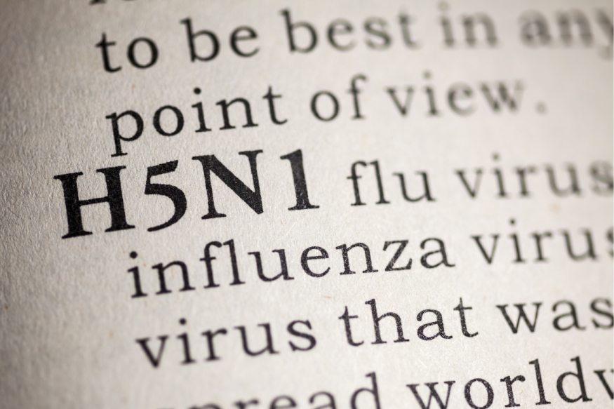 The CDC is taking precautions to stop the spread of the H5N1 virus from birds to people